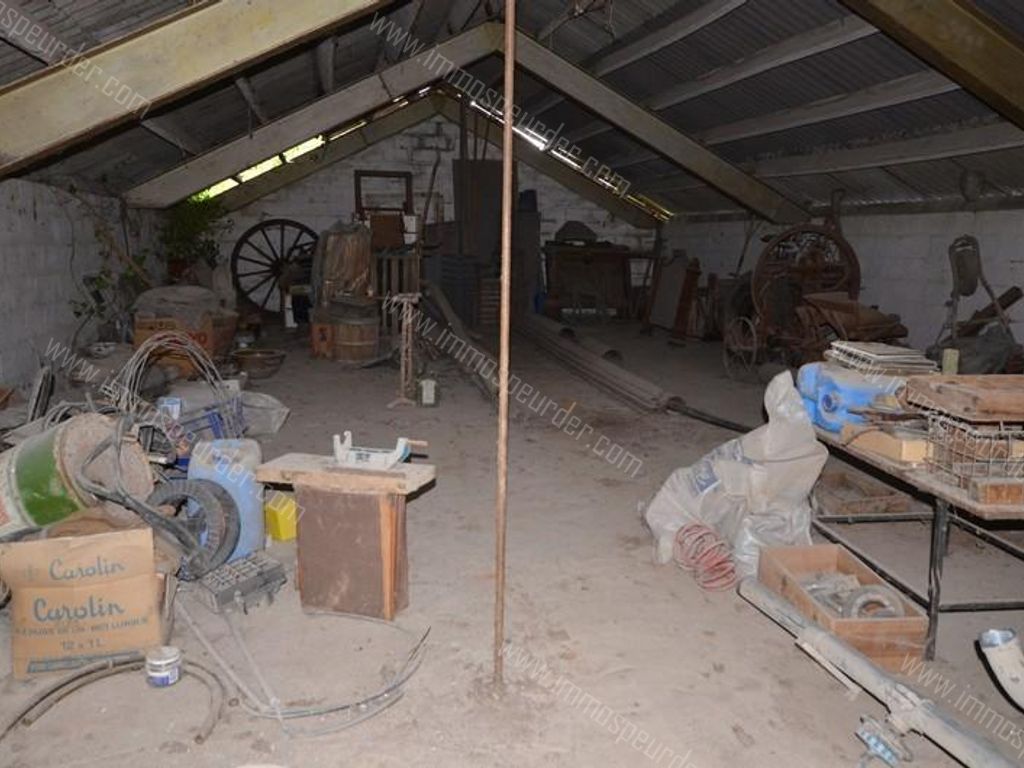 Grond in Chimay - 969955 - Rue Mahy , 6460 Chimay