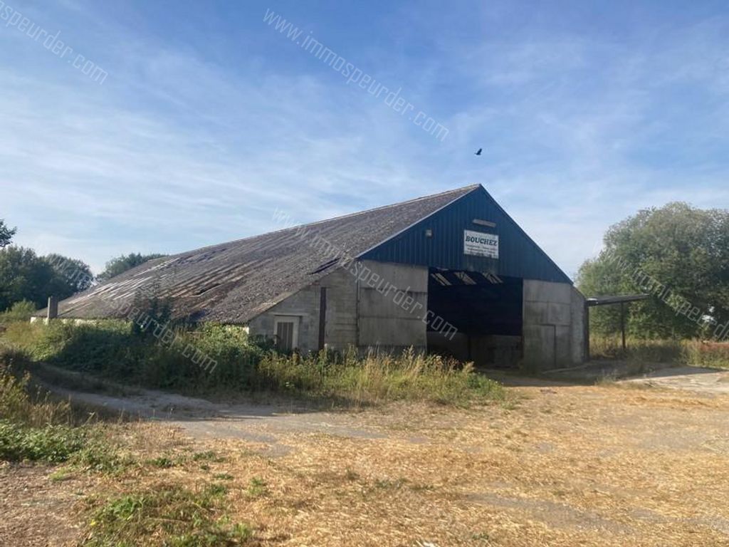 HandelspandSaint-Remy