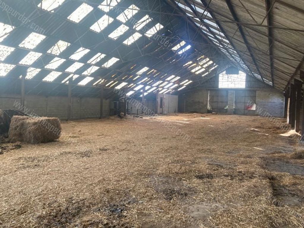 Handelspand in Saint-Remy - 978405 - Rue de la Plate Pierre 6, 6460 Saint-Remy