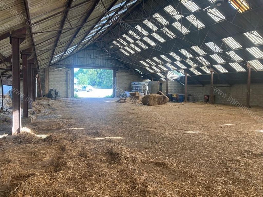 Handelspand in Saint-Remy - 978405 - Rue de la Plate Pierre 6, 6460 Saint-Remy