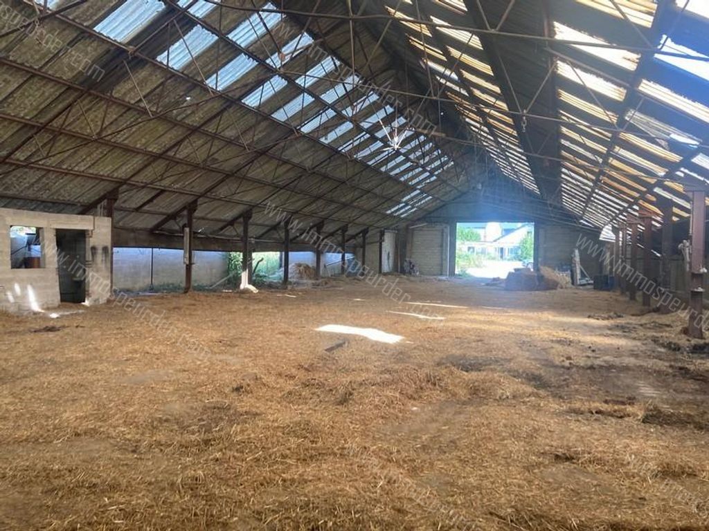 Handelspand in Saint-Remy - 978405 - Rue de la Plate Pierre 6, 6460 Saint-Remy