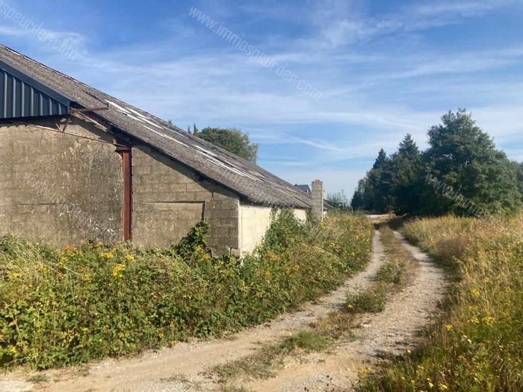 Handelspand in Saint-Remy - 978405 - Rue de la Plate Pierre 6, 6460 Saint-Remy