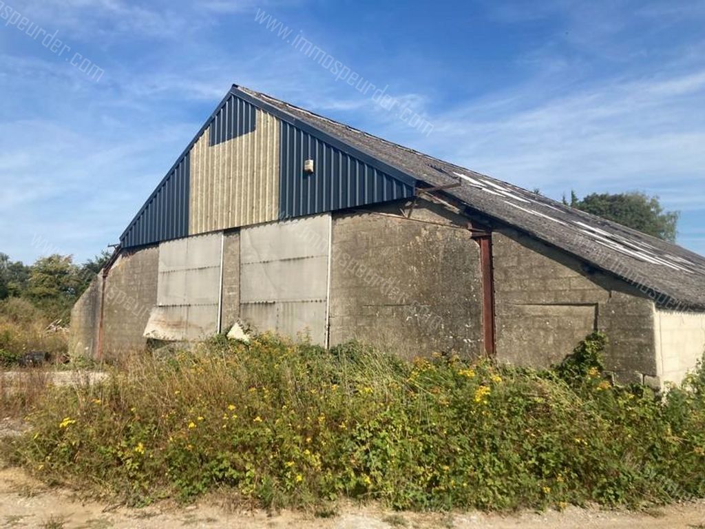 Handelspand in Saint-Remy - 978405 - Rue de la Plate Pierre 6, 6460 Saint-Remy