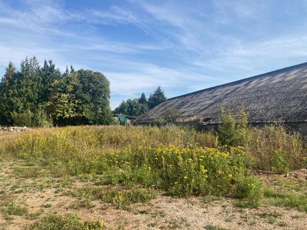 Handelspand in Saint-Remy - 978405 - Rue de la Plate Pierre 6, 6460 Saint-Remy