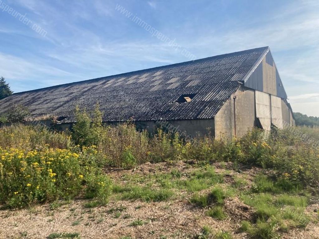 Handelspand in Saint-Remy - 978405 - Rue de la Plate Pierre 6, 6460 Saint-Remy