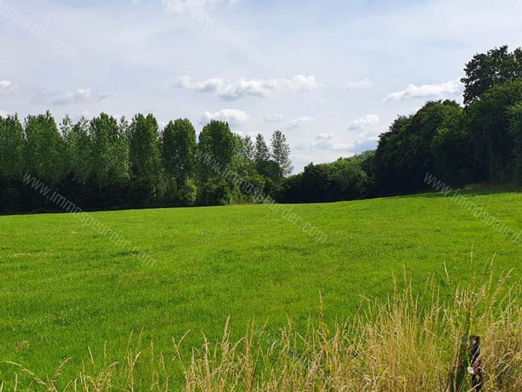 Villa in Bailièvre - 934146 - Routes de Salles , 6460 Bailièvre