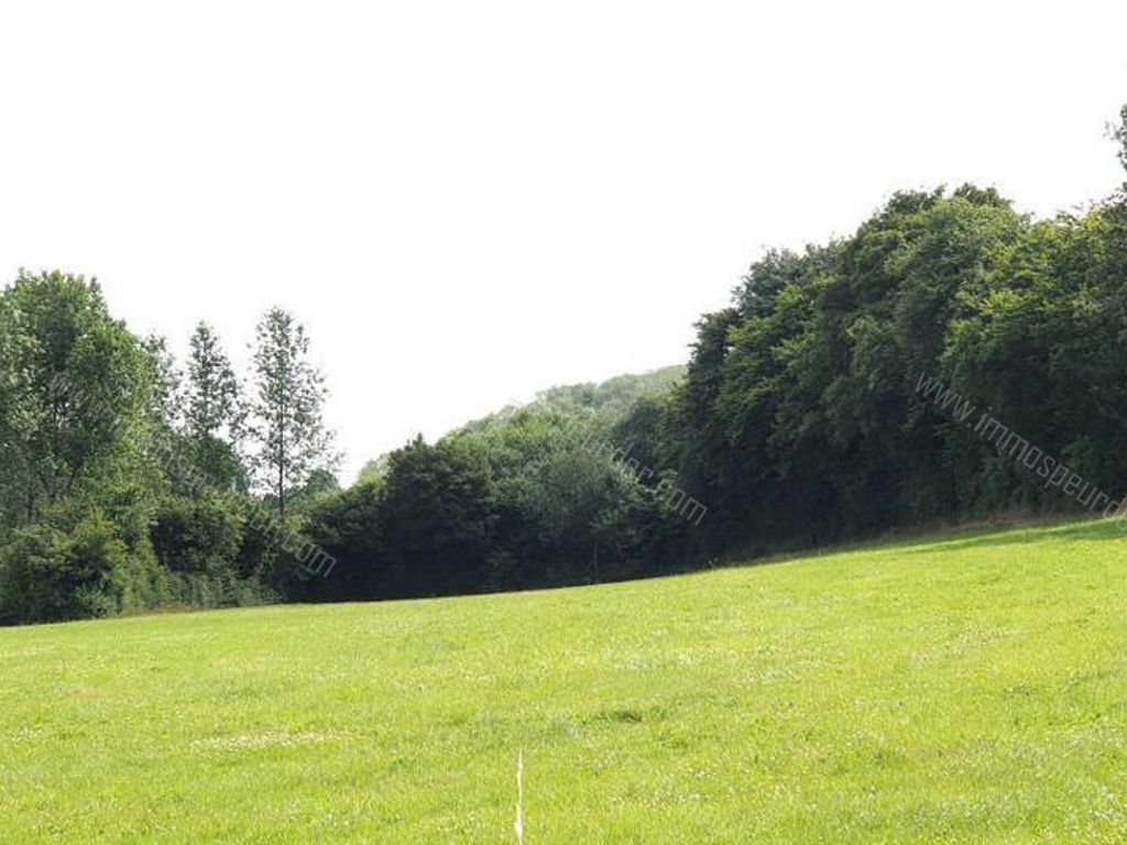 Villa in Bailièvre - 934146 - Routes de Salles , 6460 Bailièvre