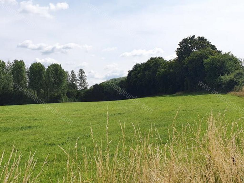 Villa in Bailièvre - 934146 - Routes de Salles , 6460 Bailièvre