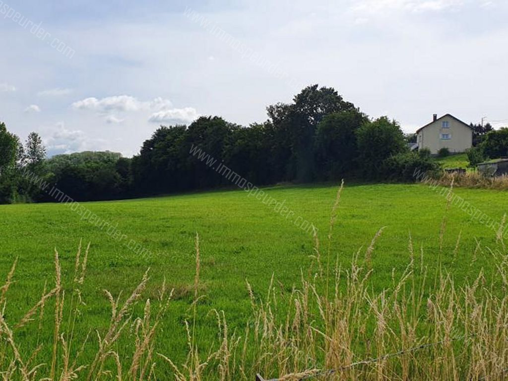 Villa in Bailièvre - 934146 - Routes de Salles , 6460 Bailièvre