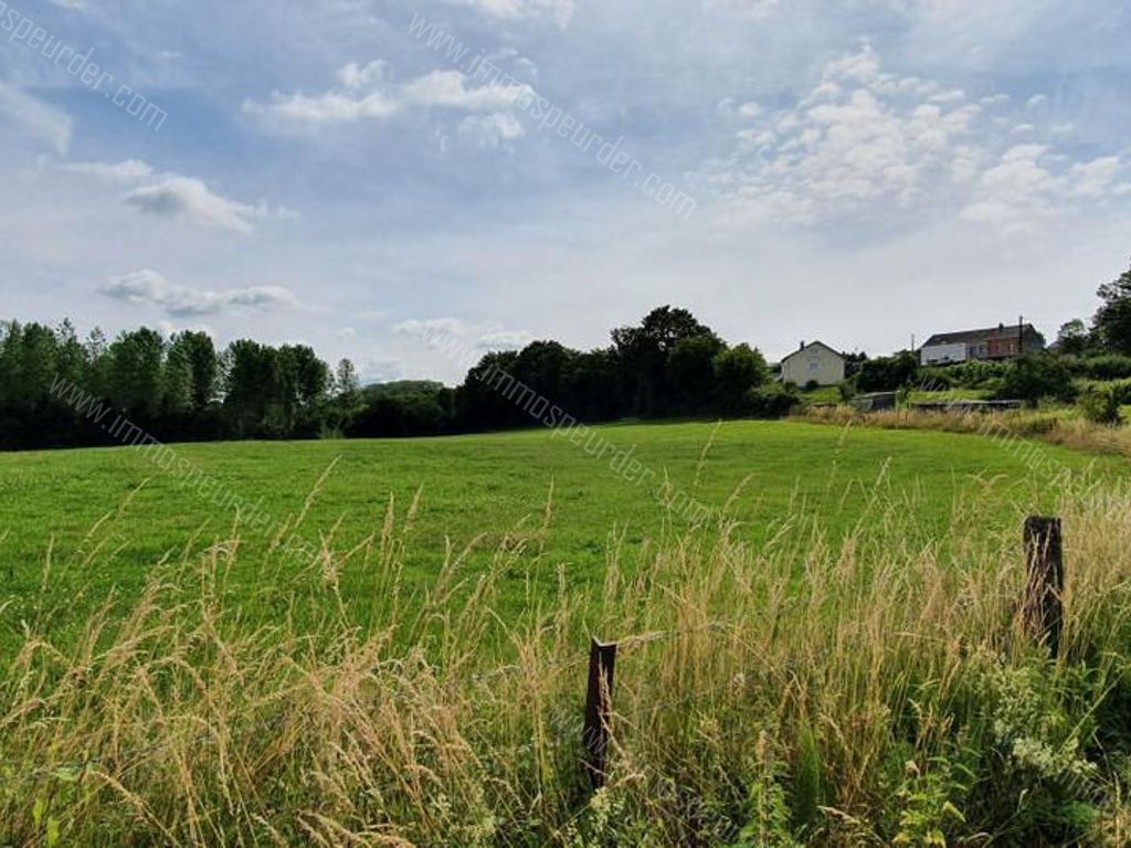 Villa in Bailièvre - 934146 - Routes de Salles , 6460 Bailièvre