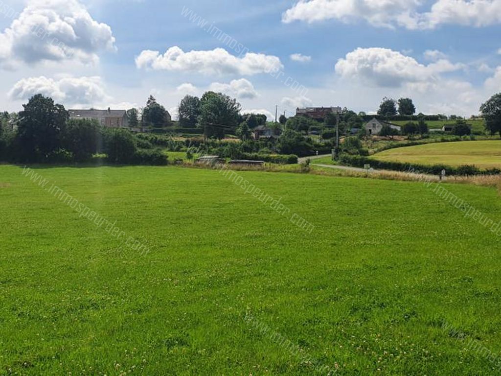 Villa in Bailièvre - 934151 - Route de Salles , 6460 Bailièvre