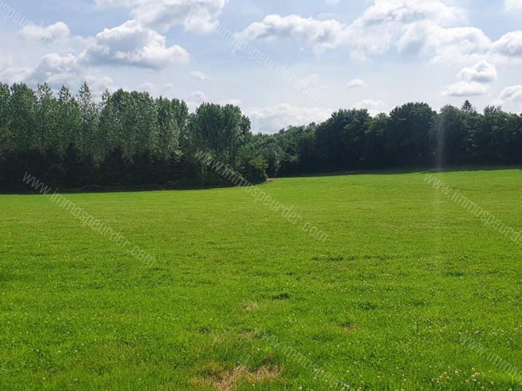 Villa in Bailièvre - 934151 - Route de Salles , 6460 Bailièvre