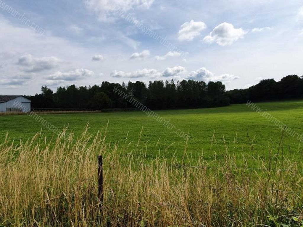 Villa in Bailièvre - 934151 - Route de Salles , 6460 Bailièvre