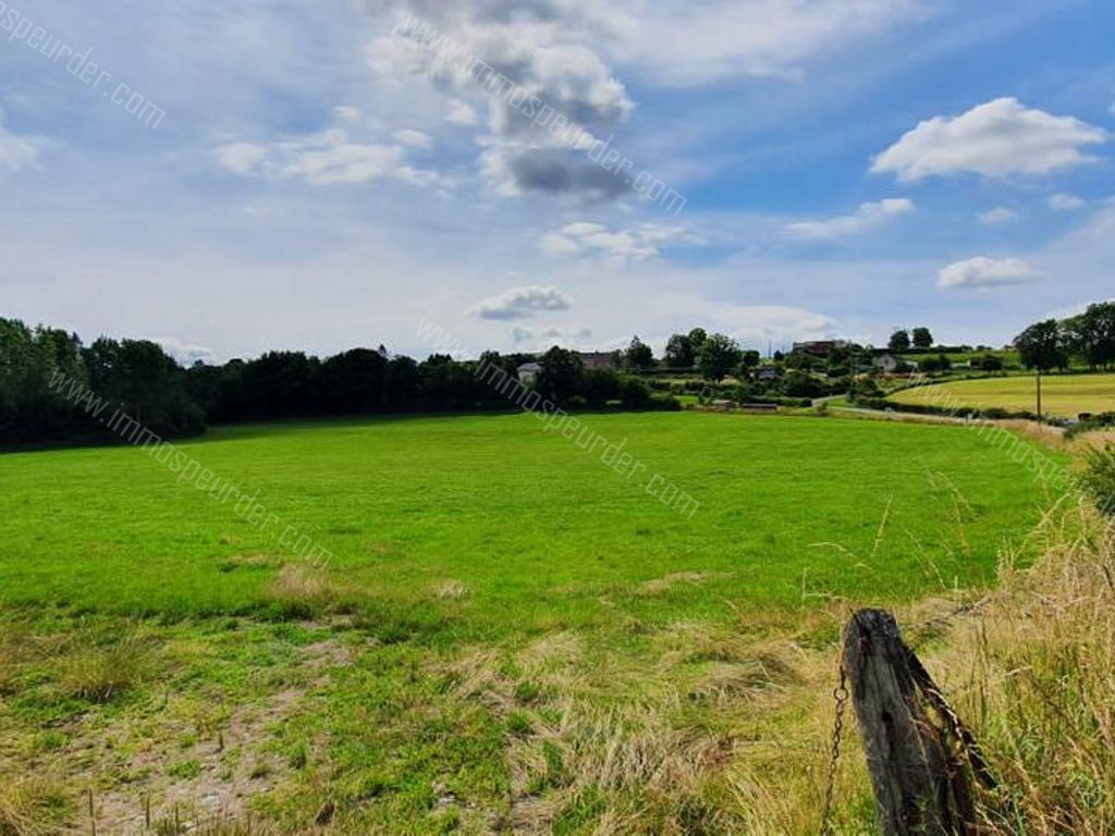 Villa in Bailièvre - 934151 - Route de Salles , 6460 Bailièvre