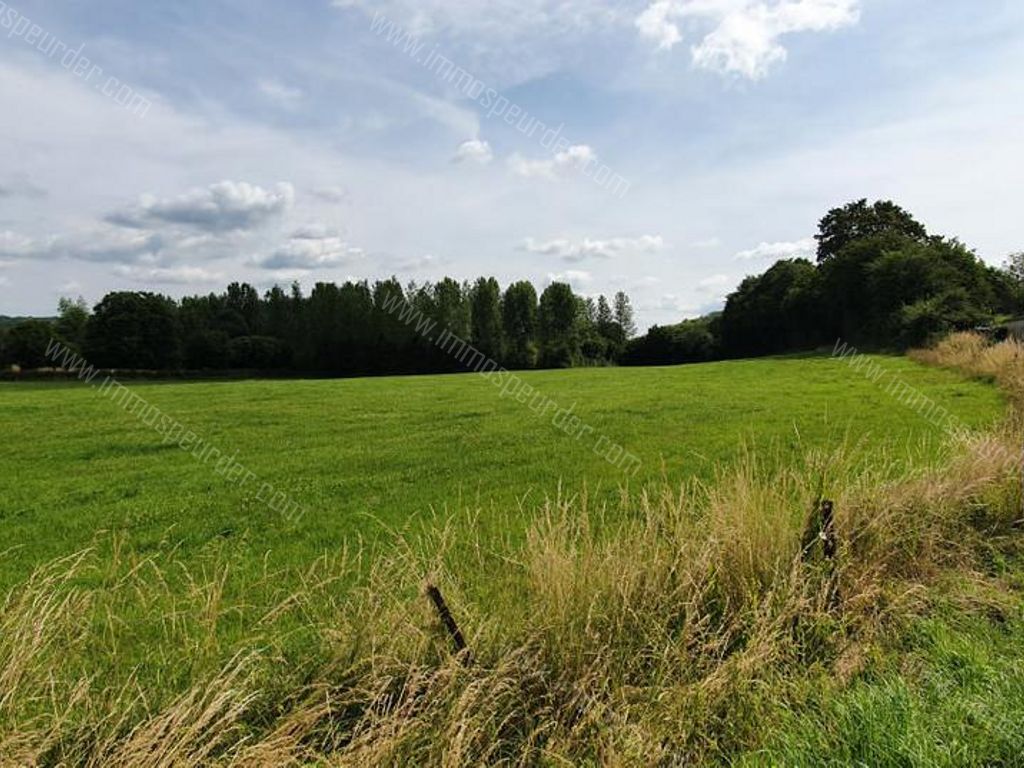 Villa in Bailièvre - 934146 - Routes de Salles , 6460 Bailièvre