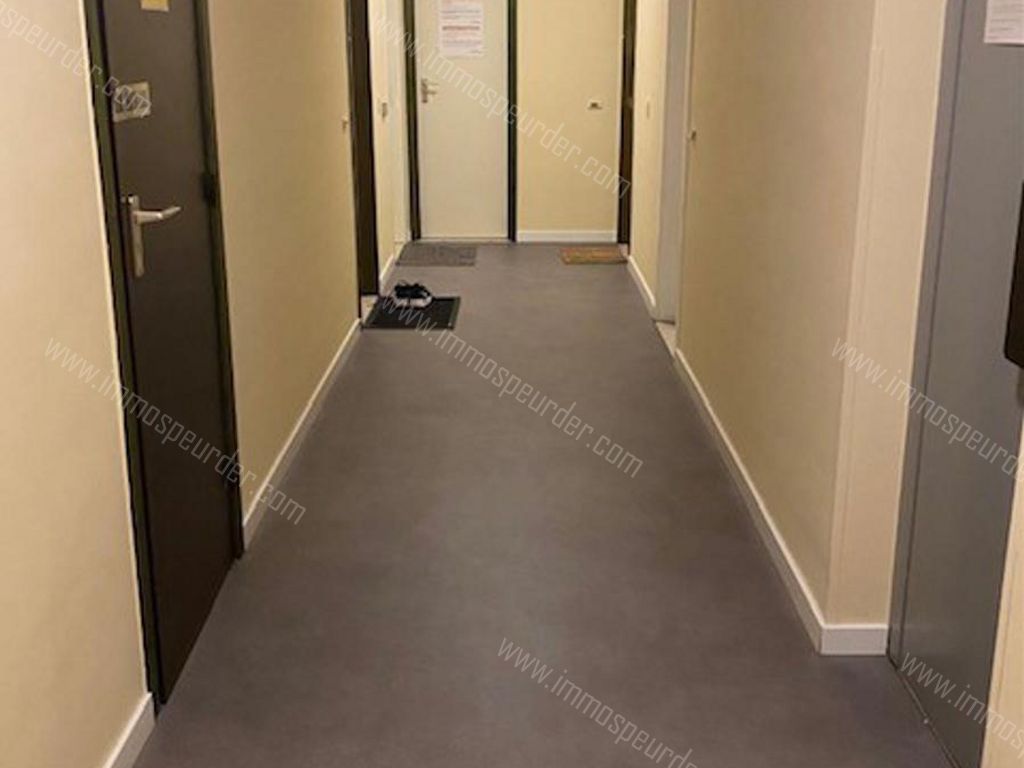 Appartement in Heverlee - 584429 - NaamseSteenweg  380-52, 3001 Heverlee