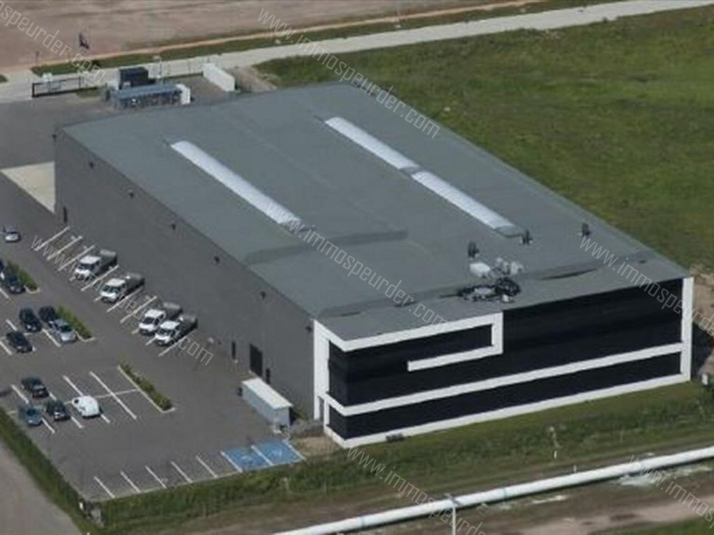 Industrieel in Willebroek - 204503 - Schoondonkweg , 2830 Willebroek