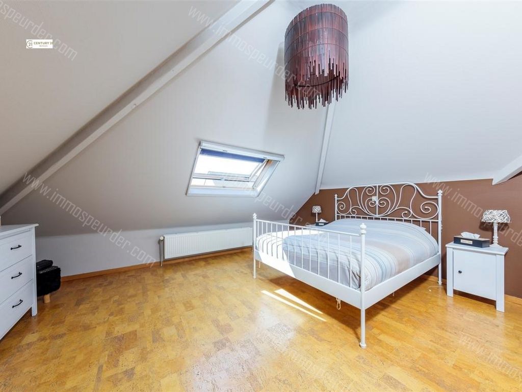 Villa in Dilbeek - 627914 - Kerkstraat 34, 1700 Dilbeek