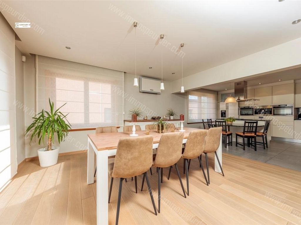 Villa in Dilbeek - 627914 - Kerkstraat 34, 1700 Dilbeek