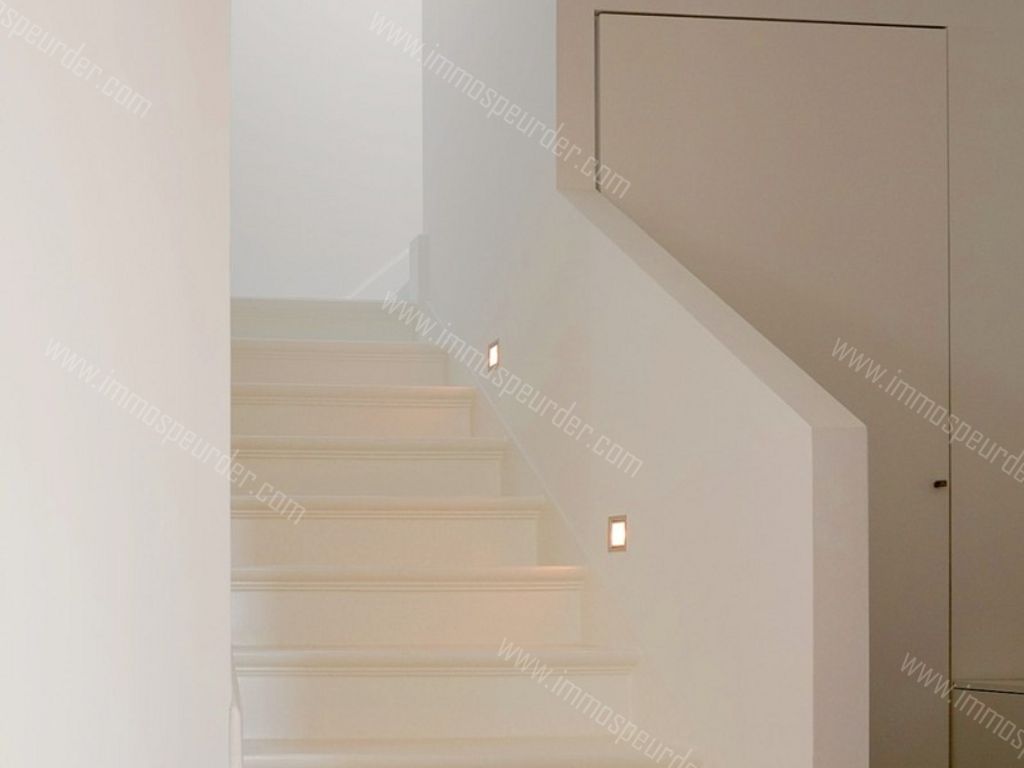 Villa in Zedelgem - 598534 - Loppemsestraat 39, 8210 Zedelgem