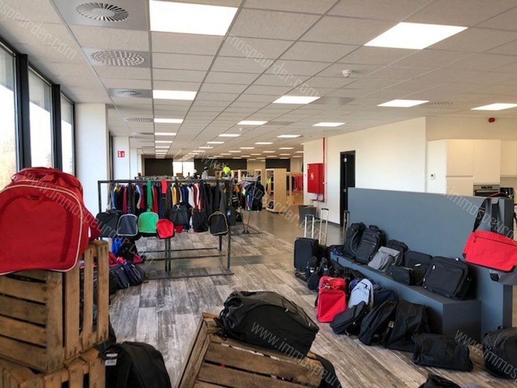 Kantoor in Willebroek - 627374 - Schoondonkweg 6, 2830 Willebroek