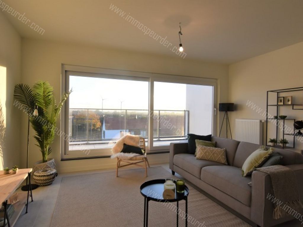 Appartement in Menen - 10694 - Binnenhof 41, 8930 Menen