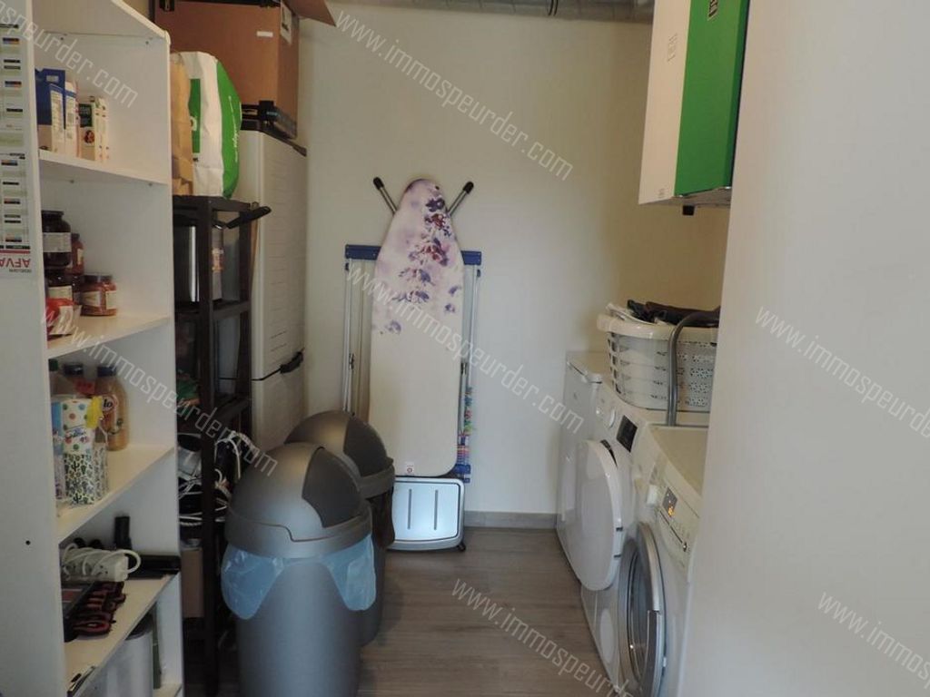 Appartement in Loppem - 982952 - Autobaan 3, 8210 Loppem