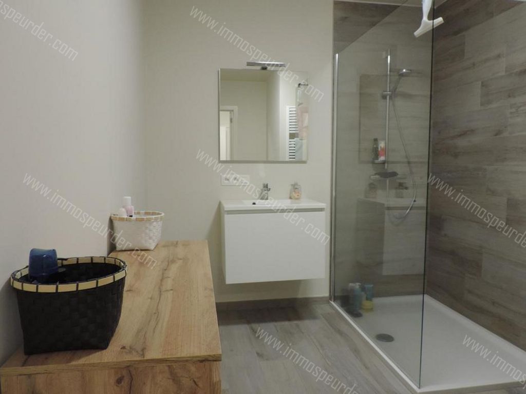 Appartement in Loppem - 982952 - Autobaan 3, 8210 Loppem