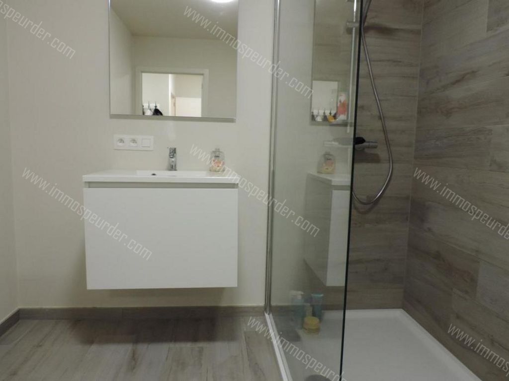 Appartement in Loppem - 982952 - Autobaan 3, 8210 Loppem